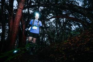 BIB: 
                            <button type="button" onclick="openModal(26341960)" class="btn btn-primary btn-sm float-right btn-popup" data-toggle="modal" data-target=".modal-high-quality">
                        <i class="fas fa-shopping-cart"></i> Add to Cart
                    </button>
                                            <button type="button" onclick="isThisMe(26341960, true)" class="btn btn-success btn-sm float-right btn-popup btn-isme hidden" data-toggle="tooltip" data-placement="bottom" title="นี่คือรูปของคุณใช่ไหม คลิกที่นี่เพื่อเอาเข้าอัลบั้ม">
                        <i class="fas fa-plus"></i> Add to album
                    </button>
                    <button type="button" onclick="isThisMe(26341960, false)" class="btn btn-warning btn-sm float-right btn-popup btn-isnotme hidden">
                        <i class="fas fa-ban"></i> Remove from album
                    </button>